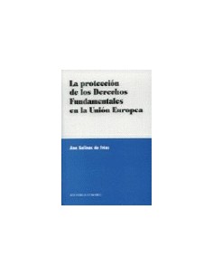 La proteccion de los derechos fundamentales en la union europea