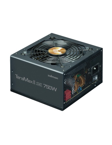 TeramaxII SE unidad de fuente de alimentación 750 W 18+10 pin ATX ATX Negro