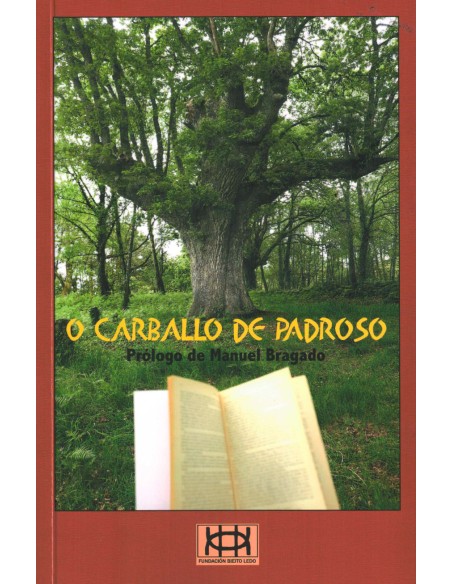 Carballo padroso III