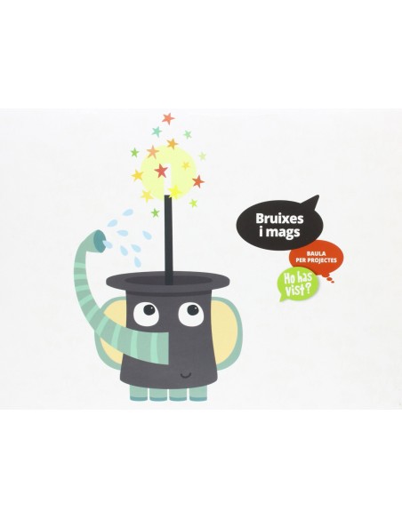 projecte bruixes i mags infantil ho has vist