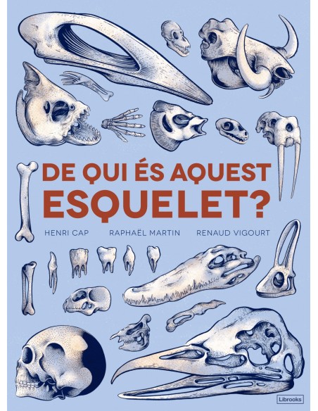 DE QUI ES AQUEST ESQUELET