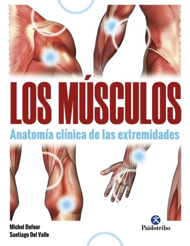 Musculos Los Anatomia clinica de las extremidades