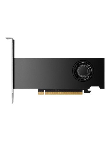 NVIDIA RTX 2000 Ada Generation 16 GB GDDR6