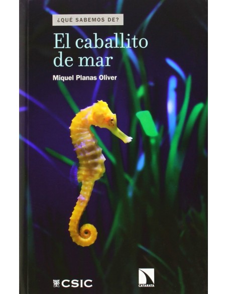 El caballito de mar