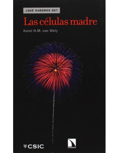 Las celulas madre