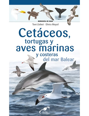 Cetaceos tortugas y aves marinas y costeras del mar Balear
