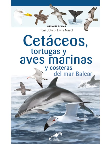 Cetaceos tortugas y aves marinas y costeras del mar Balear