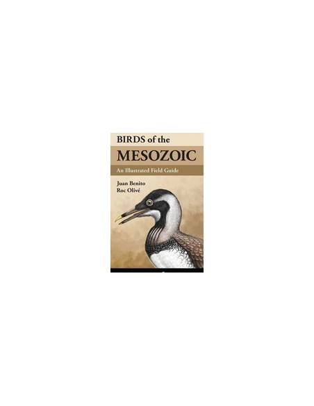 Birds of the Mesozoic