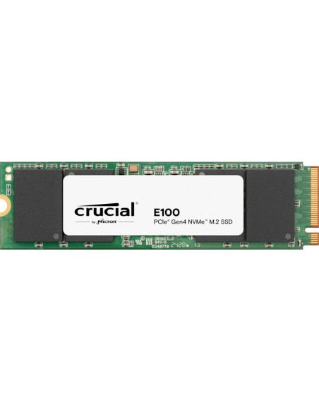 E100 2 TB M.2 PCI Express 4.0 NVMe