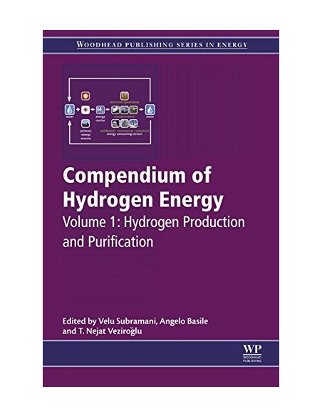 Compendium of hydrogen energy