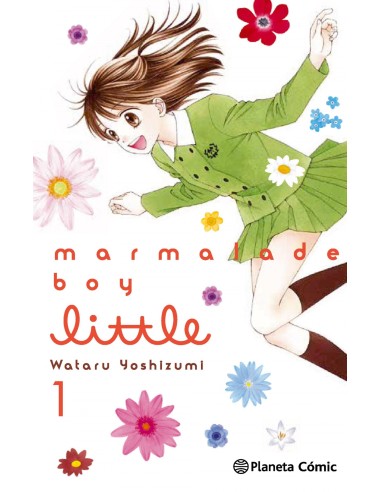 Marmalade boy little