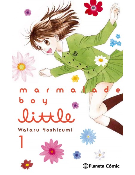 Marmalade boy little