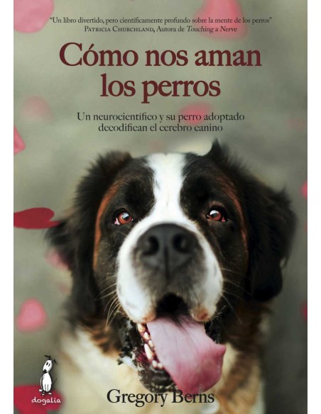 Como nos aman los perros