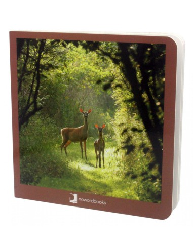 Los Animales del Bosque