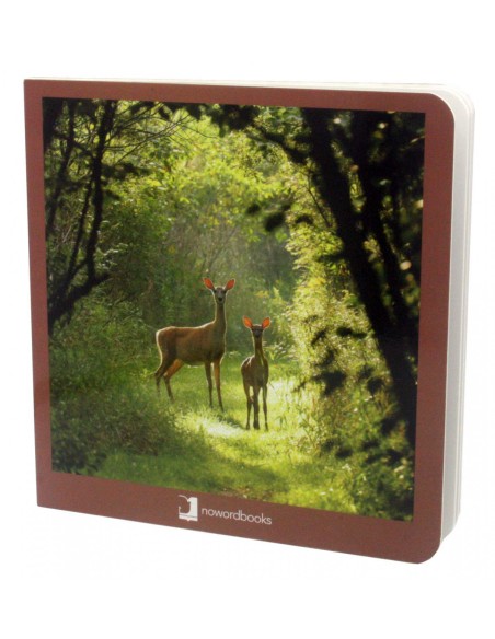 Los Animales del Bosque