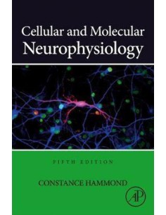 Cellular and molecular neurophysiology