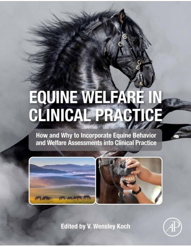 Equine welfare in clinical practice