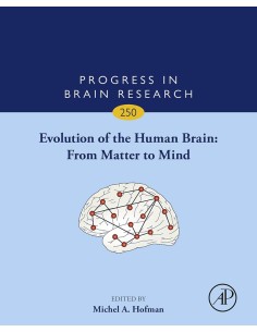 Evolution of the Human Brain From Matter to Mind