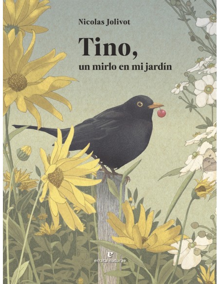 Tino un mirlo en mi jardin