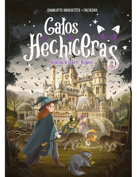 Gatos y hechiceras VOL II