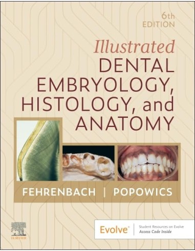 Illustrated dental embryology histology and anatomy