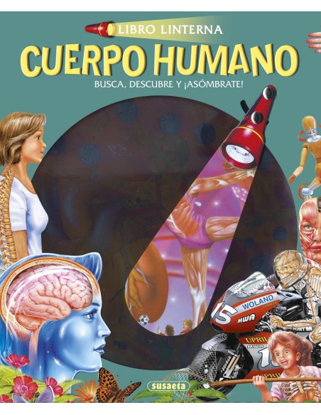 Cuerpo humano