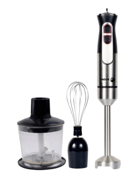 Divamix Innox 0,6 L Batidora de inmersión 1000 W Negro, Gris, Acero inoxidable