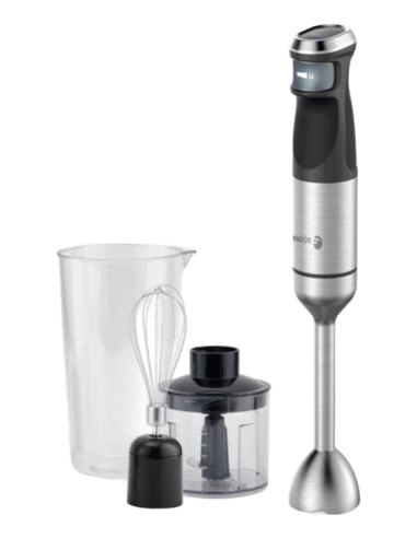 Divamix Steel 0,7 L Batidora de inmersión 1500 W Negro, Gris, Acero inoxidable