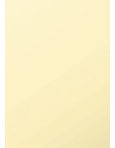 4296C cartulina 50 hojas 120 g/m²