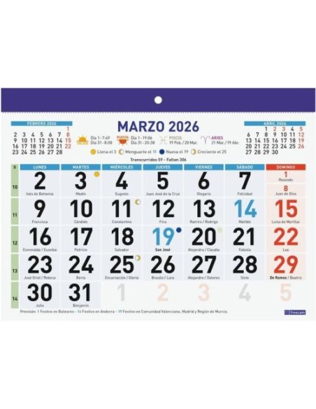 FALDILLA NUMEROS GRANDES 2026 F92 21X15