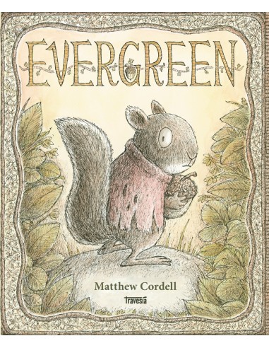 Evergreen