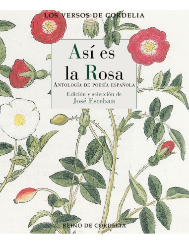 Asi es la rosa