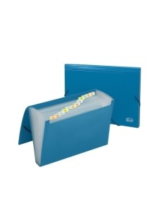 CLASIF.ACORD.FOROFIS PP OP. A4 12 DP.AZ