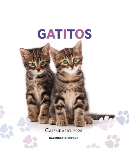 Calendario Gatitos 2026