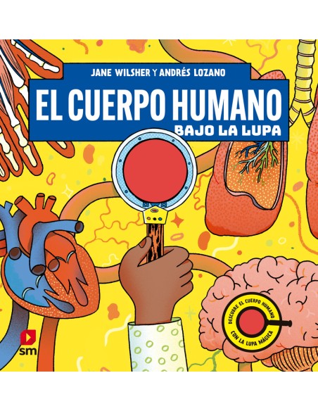 El cuerpo humano bajo la lupa