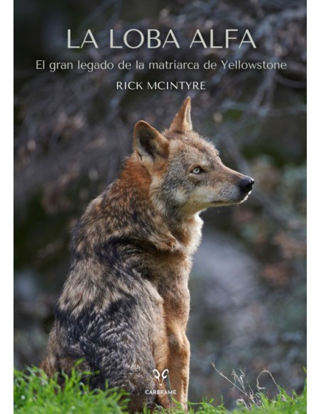 LA LOBA ALFA