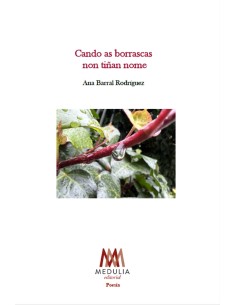 CANDO AS BORRASCAS NON TINAN NOME