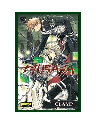 Tsubasa reservoir chronicle 19