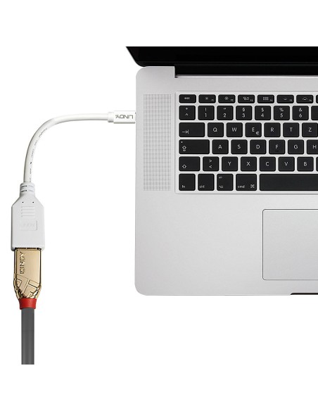 41021 cable DisplayPort 0,15 m Mini DisplayPort Blanco