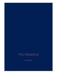 Tyin tegnestue in detail