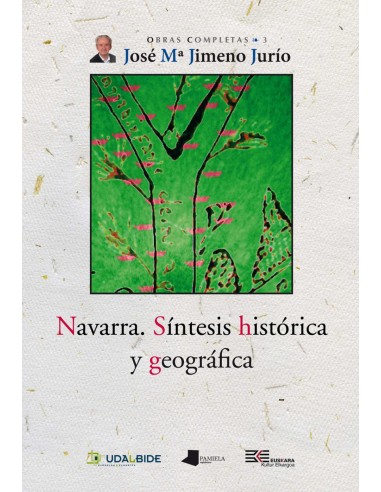 NAVARRA SINTESIS HISTORICA Y GEOGRAFICA