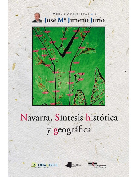 NAVARRA SINTESIS HISTORICA Y GEOGRAFICA