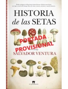 HISTORIA DE LAS SETAS