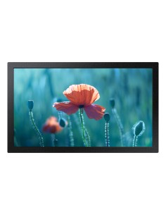 QB13C 33 cm (13") LCD Wifi 500 cd / m² Full HD Negro 16/7