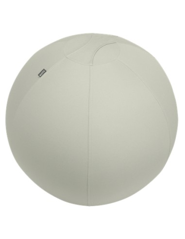 Ergo Gris Interior Esférico