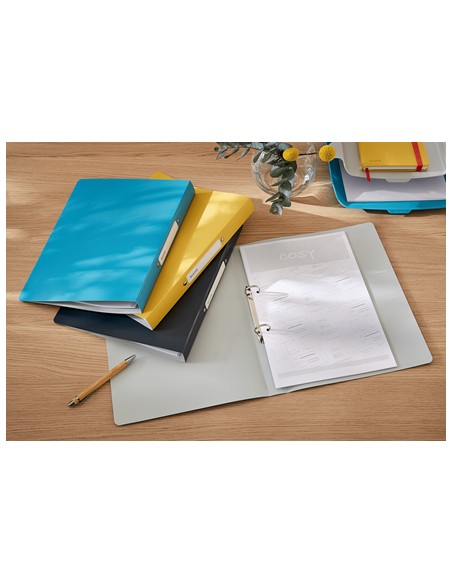 42380089 carpeta de cartón A4 Negro