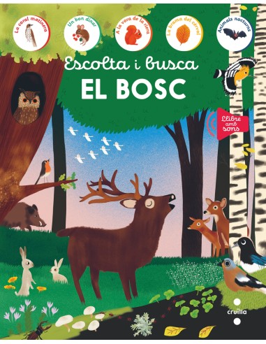 Escolta i busca El bosc