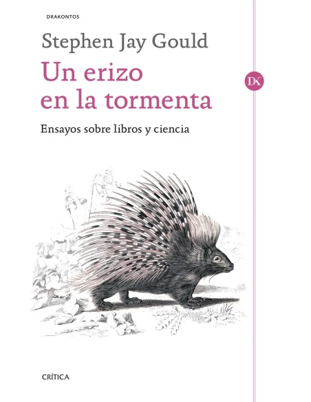 Un erizo en la tormenta