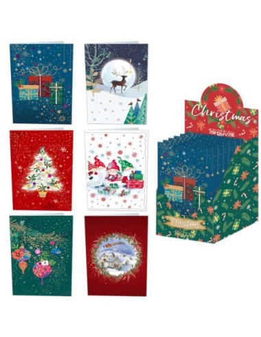 EXP 48 CHRISTMAS COLORS