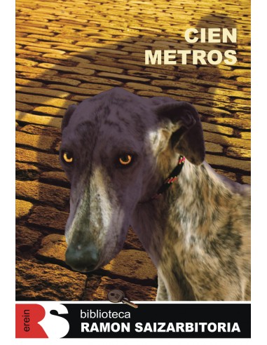 CIEN METROS